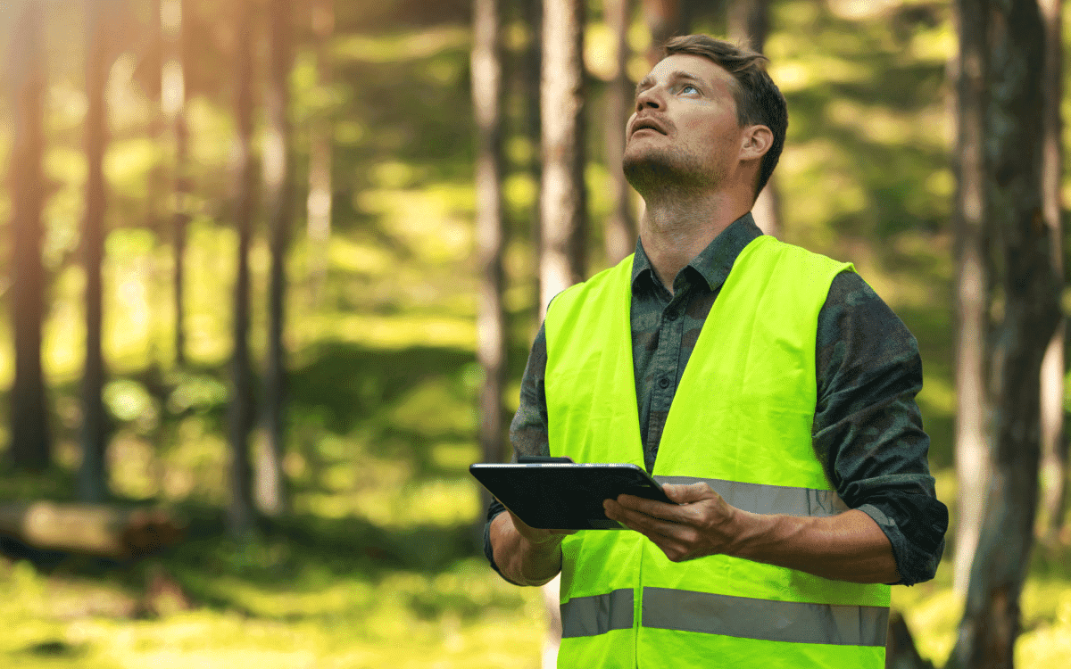 ISA-certified arborist assessing tree health with tablet