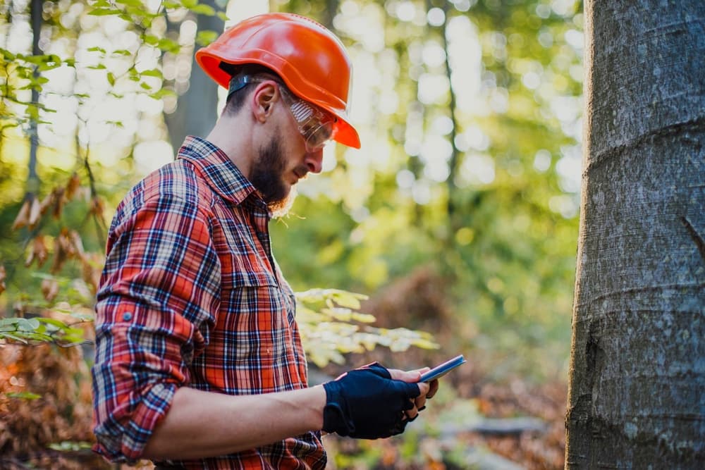 Arborist inspecting tree trunk health with diagnostic tools