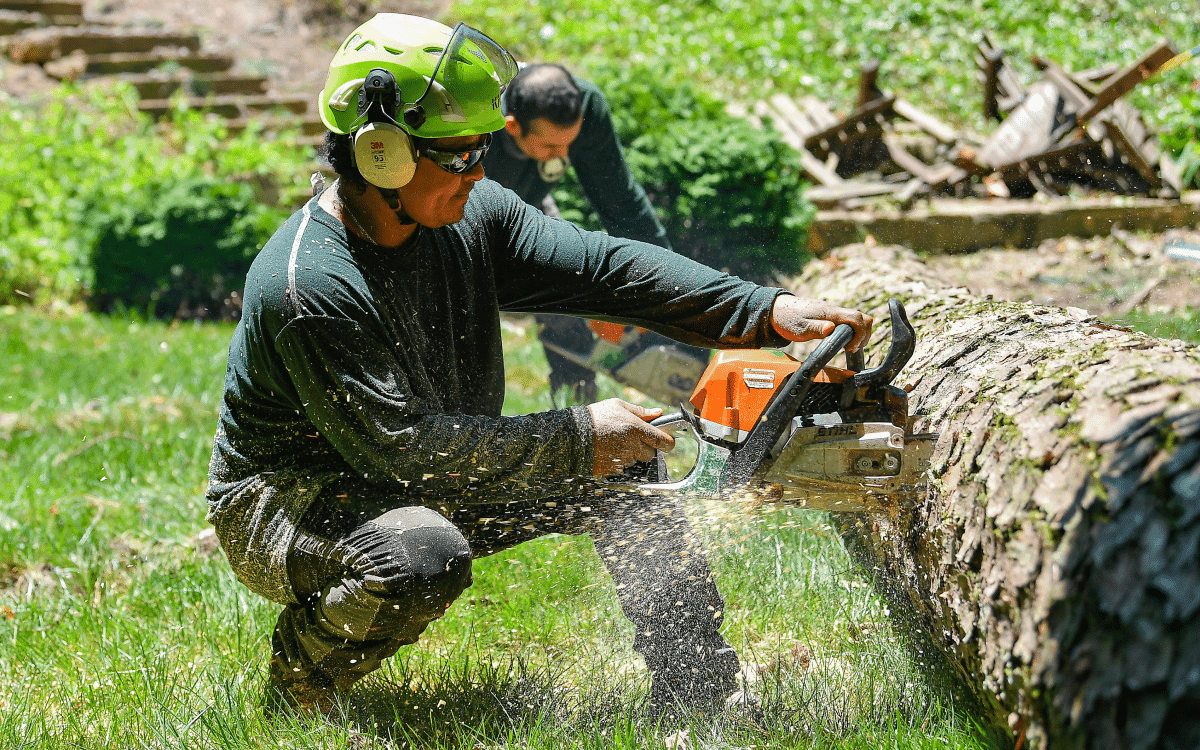 Arborist cutting tree trunk with chainsaw and safety gear
