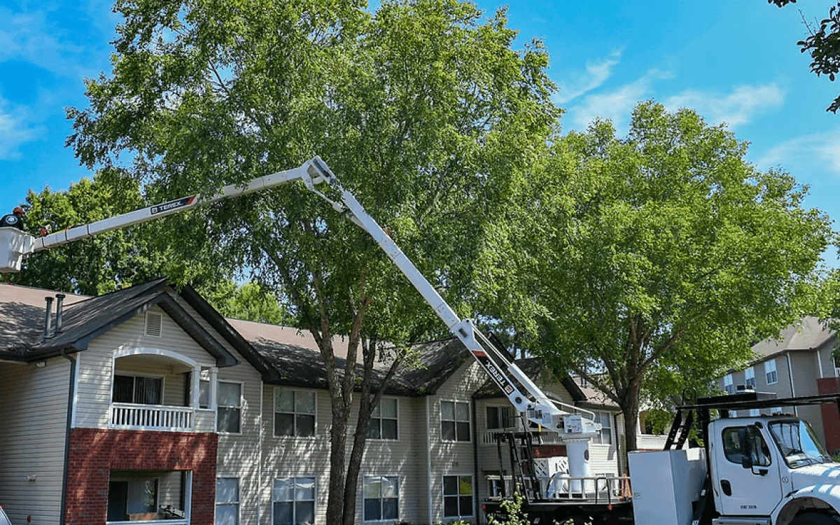 Crane-assisted tree service at commercial multi-unit property