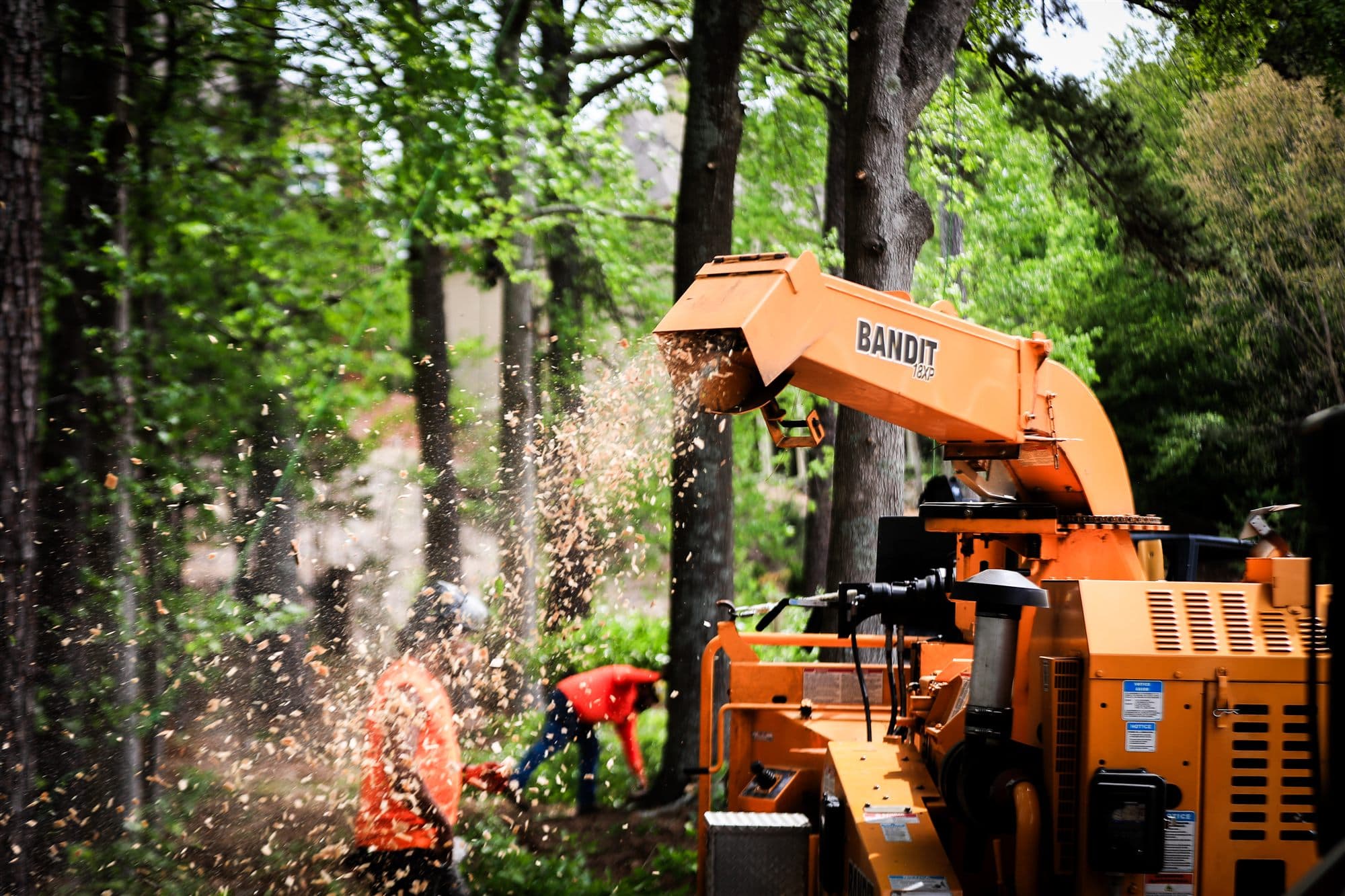 Crew feeding branches into wood chipper after removal