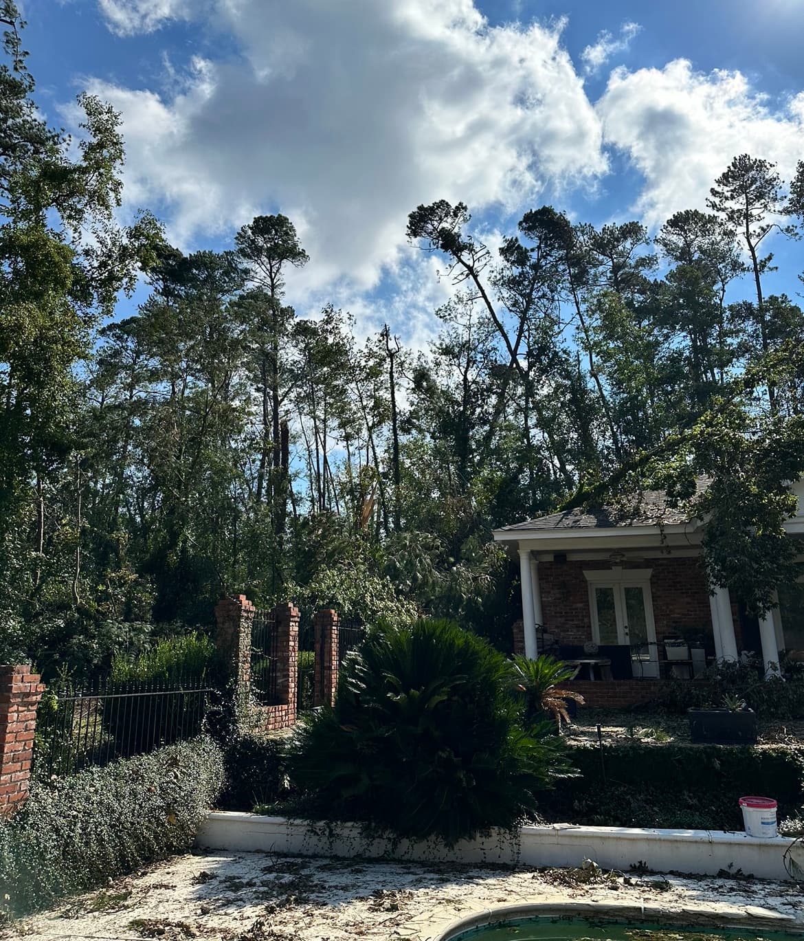 Storm damage to trees in residential neighborhood