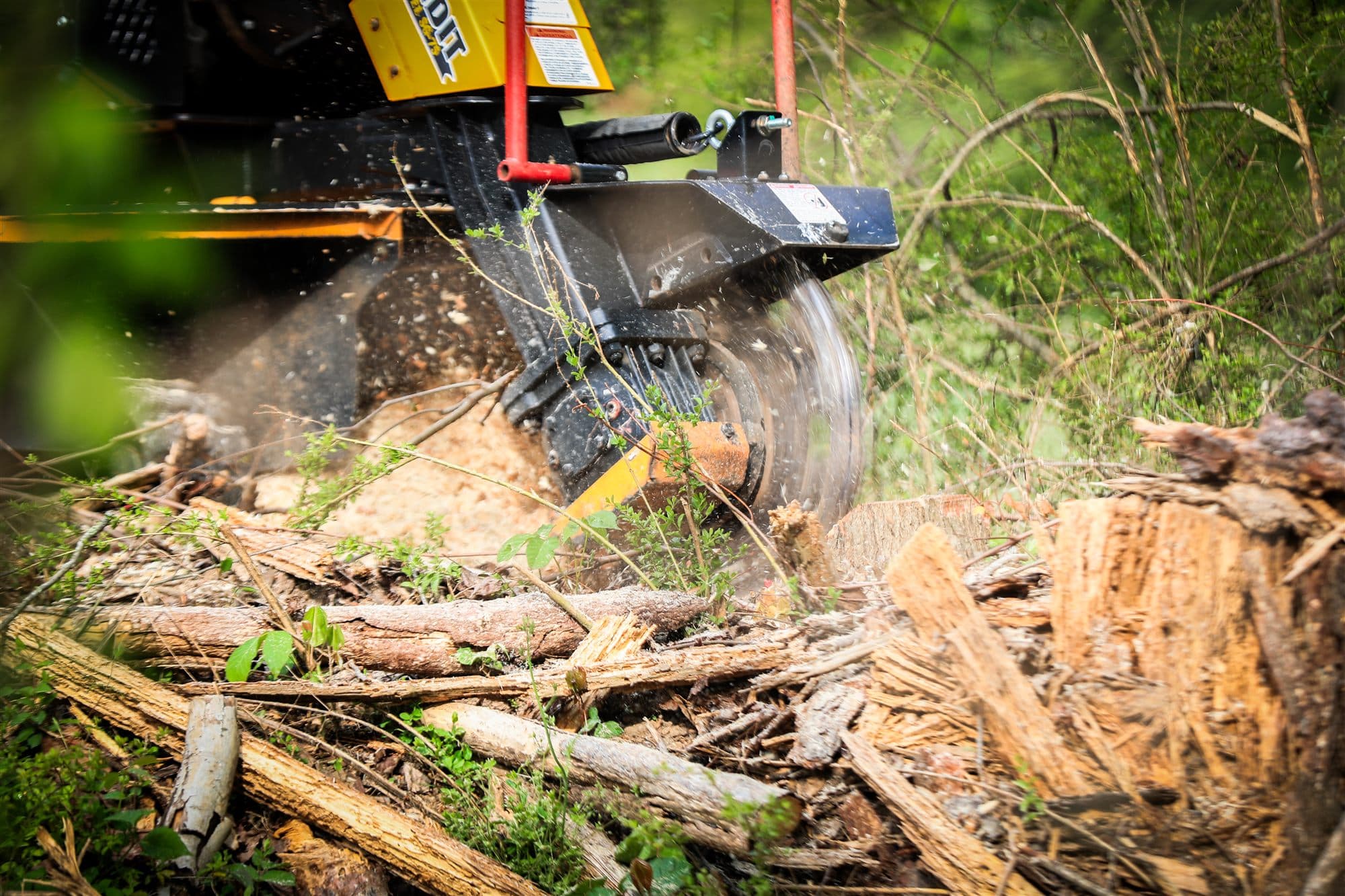 Stump grinder wheel cutting through tree stump
