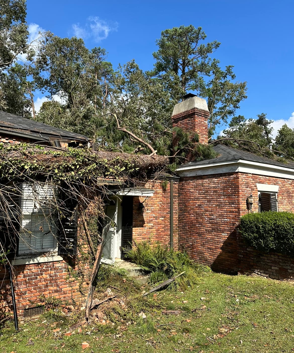 Storm-damaged tree fallen on residential roof requiring emergency response